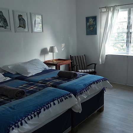 Gulls Way Villa Keurboomstrand Ngoại thất bức ảnh